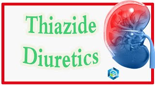 علم الأدوية  Thiazide diuretic and thiazide like diuretics ادوية [upl. by Lettie997]