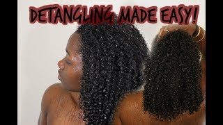 Detangling Natural Hair Explained My Detangle Technique [upl. by Yllatan]