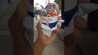 Getting A Chocolate Cup With Rainbow Sprinkles From Mister Softee [upl. by Keifer]