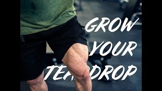 How To Train Your Inner Quads  Vastus Medialis quotThe Teardropquot [upl. by Lorollas]