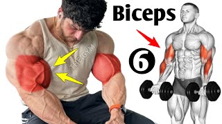 6 Wider biceps exercises  fastest [upl. by Haleelahk]