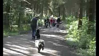 Regio wandeling Amsterdamsbos [upl. by Atinrahs49]