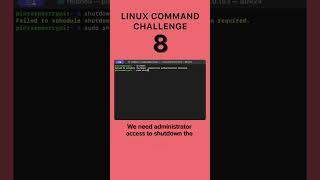 Level 8  Linux Command Challenge linux macos cmd terminal learning challenge challengeshorts [upl. by Airenahs]