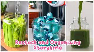 🌺 30 Minutes Satisfying Restock And Organizing Tiktok Storytime Compilation Part244  Lisa Storytime [upl. by Tongue754]