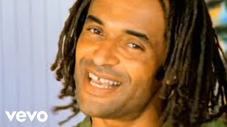 Yannick Noah  Les lionnes Clip officiel [upl. by Gerita]