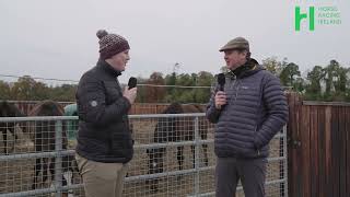 Go behind the scenes at Bective Stud [upl. by Cooe]