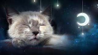 Relaxing Lullaby for Cat and Kitten 🐱💤 with Cat purring sounds  CAT MUSIC  1 HOUR [upl. by Millan]