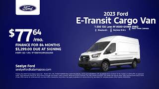 Ford ETransit Cargo Van 09122024 4301038 [upl. by Sykes]