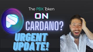 Paribus Update⚡️Is PBX Bridging to Cardano [upl. by Cinda]