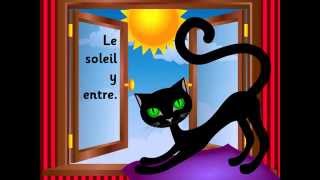 Le chat et le soleil [upl. by Lehcir]