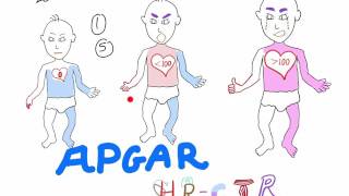 Understanding APGAR score the best explanation with a mnemonic [upl. by Randi]