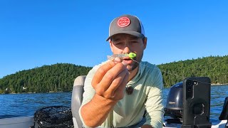 DEADLY Tips to Catch FINICKY Summer LAKE TROUT [upl. by Mort974]