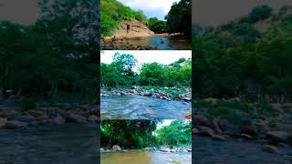 Explore the hidden falls near Trichy  Puliyancholai falls shorts trending [upl. by Brosine]