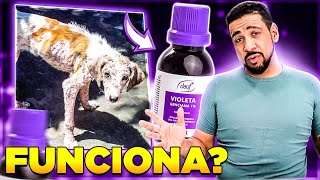 VIOLETA GENCIANA FUNCIONA PARA COCEIRAS EM ANIMAIS [upl. by Assetnoc219]