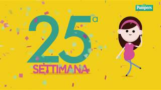 25° settimana di gravidanza [upl. by Airad]