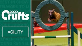 Large International Agility Agility Round  Part two  ​Crufts 2020 [upl. by Attenwahs]