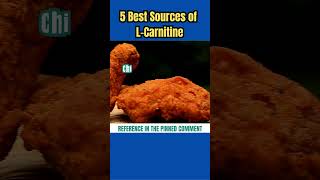 5 Best Sources of L Carnitine carnitine weightloss [upl. by Mckee305]