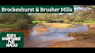 94 Robs Hampshire Pub Walks  Brockenhurst amp Brusher Mills Walk  New Forest National Park [upl. by Olivero725]