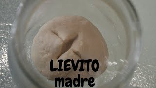 LIEVITO MADRE FATTO IN CASA [upl. by Llewen]