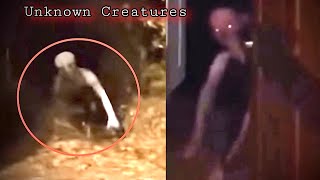 Unknown DISTURBING Creatures Caught on Camera 2023 [upl. by Dorry]