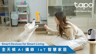 TPLink Tapo  智能 AI 網絡鏡頭 IP Camera，全方位功能日夜全彩攝錄，5大類別CCTV應付家用商用場景 [upl. by Sev50]