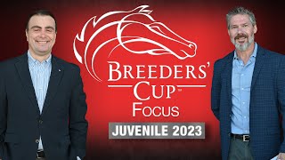 Breeders Cup Focus  Juvenile 2023 [upl. by Pendergast]