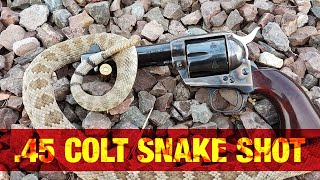 Snake Shot Loads in the 45 Colt [upl. by Ailb355]