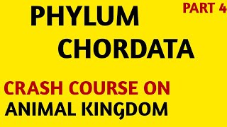 CHARTNCERTCrash CourseClass 11Animal KingdomPhylum Chordata Part4NEETAIIMS [upl. by Ermanno760]