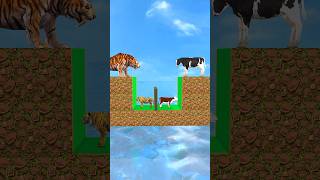 Knowledge vs Money with Cow Tiger Funny Cartoon 3d Animal Game shorts cow tiger animalgame [upl. by Ahsieka560]