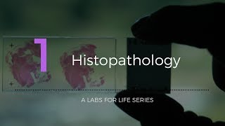 Histopathology [upl. by Pedro]