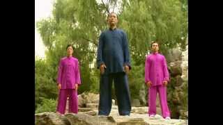 五禽戲 Wuqinxi Qigong Five Animals Play [upl. by Clance540]