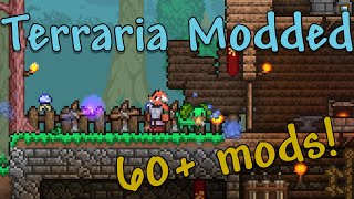 The 60 Modpack TERRARIA PLAYTHROUGH  Part 1 [upl. by Alletsyrc]