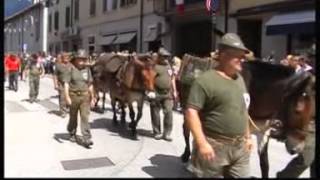 2012 07 22 Feltre BL Adunata Alpini Triveneto [upl. by Zamir]