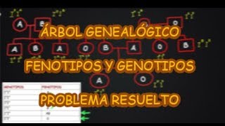 PROBLEMA de GENÉTICA RESUELTO Genotipos a partir de Fenotipos en Genealogía Grupo Sanguíneo AB0 [upl. by Hairym]