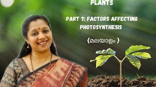 NEET Photosynthesis In Higher Plants Part 7 Factors affecting Photosynthesis [upl. by Paxon]