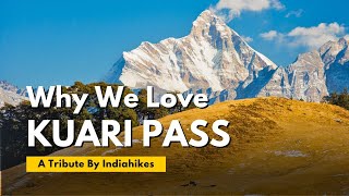 Kashmir Great Lakes Trek with Trekkers Of India [upl. by Kinnard]