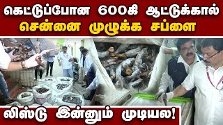 சைதாப்பேட்டை குடோனில் சம்பவம்  உஷார் மக்களே  Chennai Meat Seized  Food Safety Department [upl. by Ilanos]