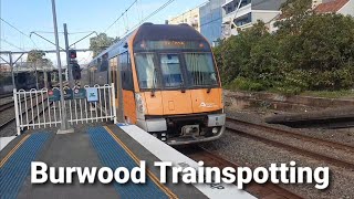 Trainspotting at Burwood  1772024 [upl. by Jankey]