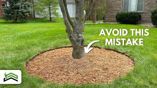 Tree Edging and Mulching Mastery  Tips for PicturePerfect Circles [upl. by Retep]