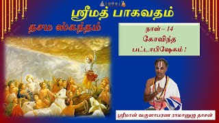 Srimad Bhagavatham  Dasama Skandam  Day 14  quotGovindaquot pattAbhishEkam [upl. by Banerjee129]