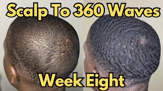 Scalp To 360 Waves  Week 8 [upl. by Nodababus485]