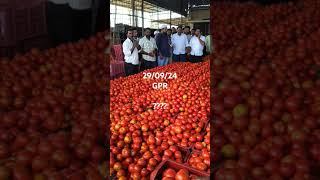 29092024 GPR మండీ మదనపల్లి మార్కెట్ [upl. by Muiram]