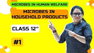 Microbes in Household Products  Microbes in Human Welfare  Class 12 cbse neet concept [upl. by Nebur267]