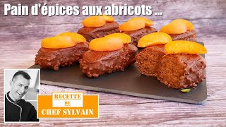 Pain dépices aux abricots  Recette par Chef Sylvain [upl. by Acilef]