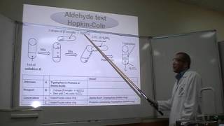 HopkinCole test Part 1 Identification of Amino Acids Tryptophan [upl. by Niamor]