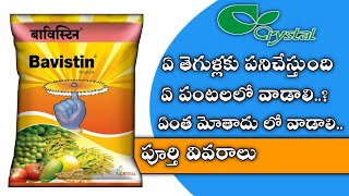 58 Cystel Bavistin Fungicides use in telugu బావిస్తీన్Cystel Bavistin Review by telugu [upl. by Berard]