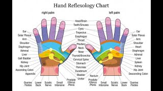 🖐Hand Reflexology  How to Use Natural Holistic Therapy for Better Health 🖐 [upl. by Cired]