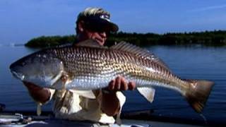 No Motor Zone Banana River Fishing in a Canoe for Monster Redfish [upl. by Allerbag]