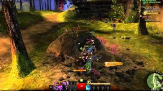 Guild Wars 2  Legendary Armor Showcase  All Types  Races  Genders [upl. by Erund]