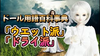 【DOLL】ドール用語百科事典 「ウエット派」「ドライ派」を説明する【myoudoll＆市松人形】 [upl. by Edniya]